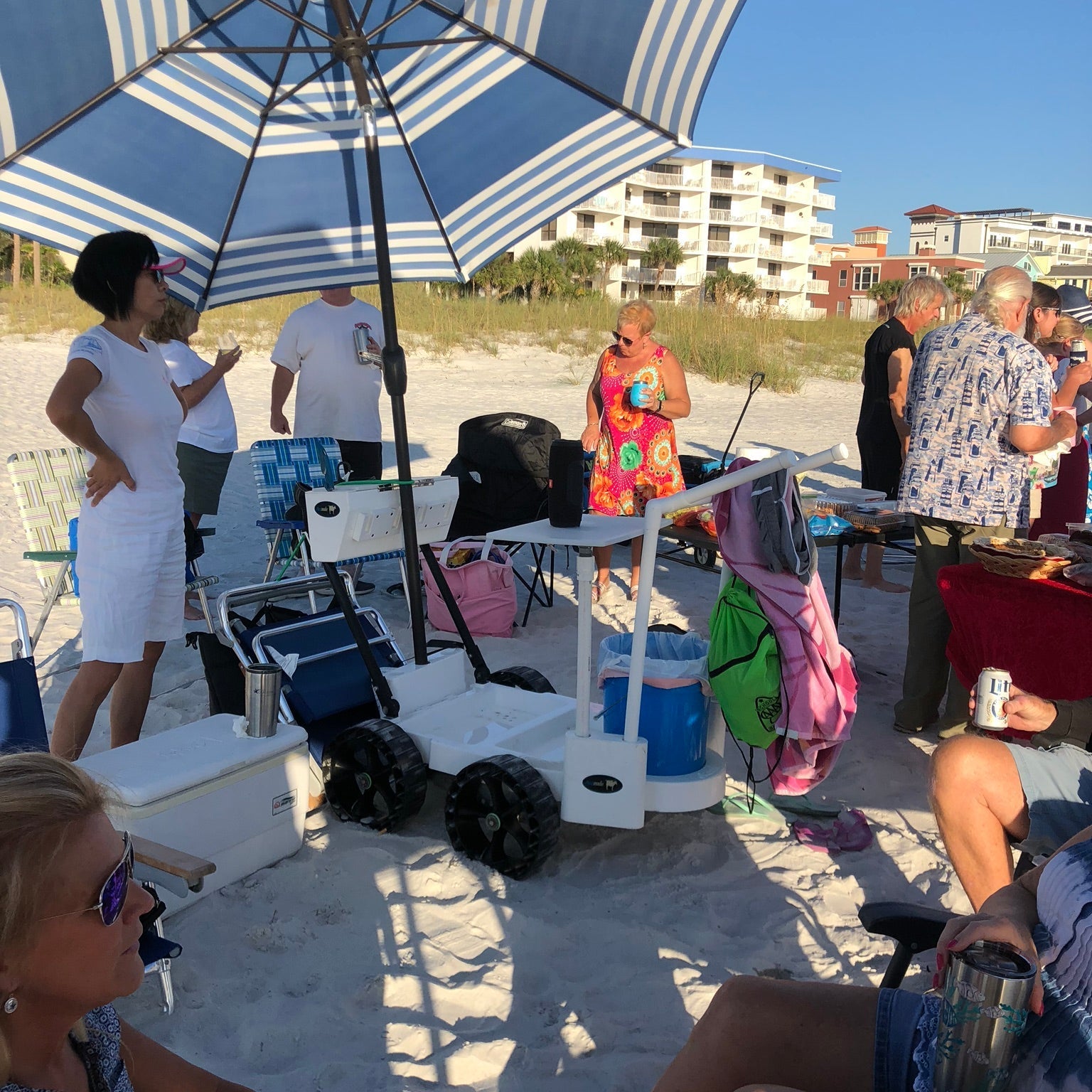 beach party cart
