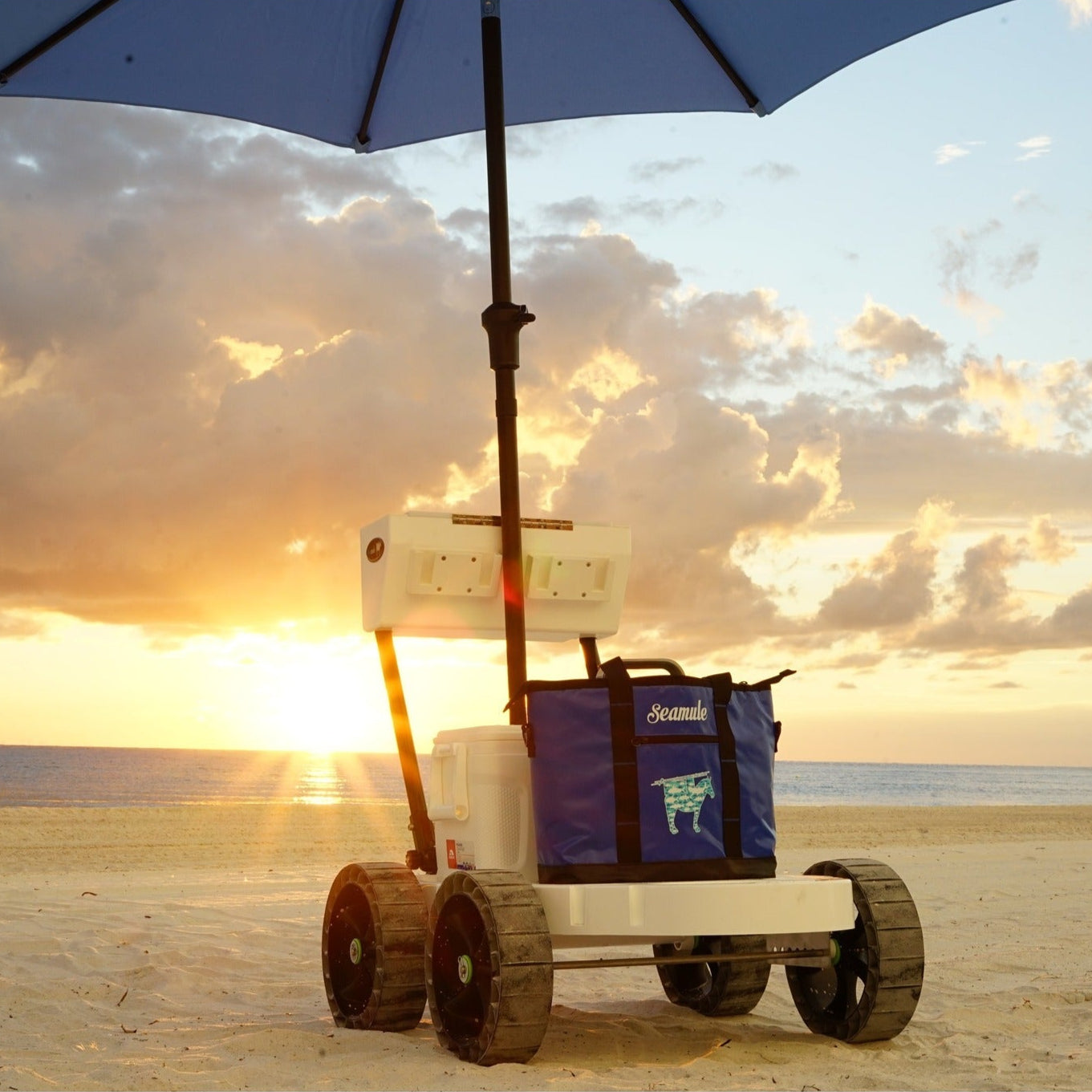 beach wagon