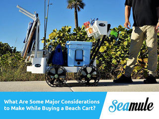 What Are Some Major Considerations To Make While Buying A Beach Cart?