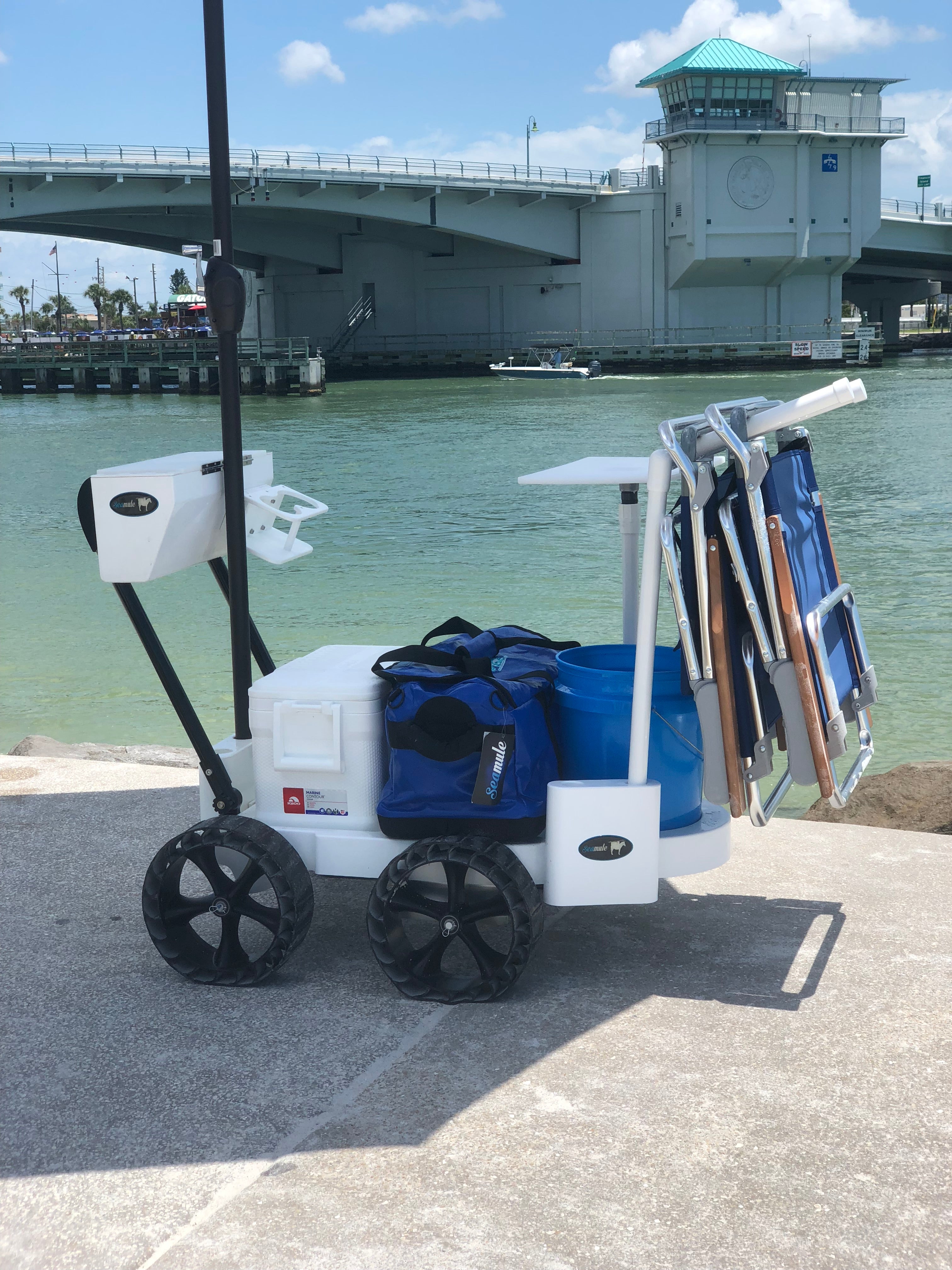 Wheeleez™ Beach Cart Accessory Rack (Beach Cart Not Included) – Wheeleez,  Inc.