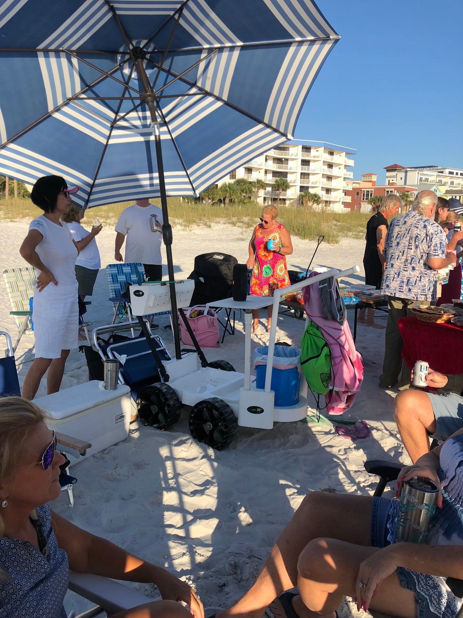 beach party cart